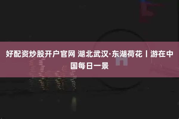 好配资炒股开户官网 湖北武汉·东湖荷花丨游在中国每日一景