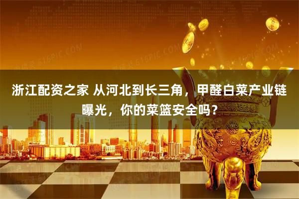 浙江配资之家 从河北到长三角，甲醛白菜产业链曝光，你的菜篮安全吗？